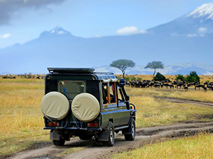 kenya-private-safaris